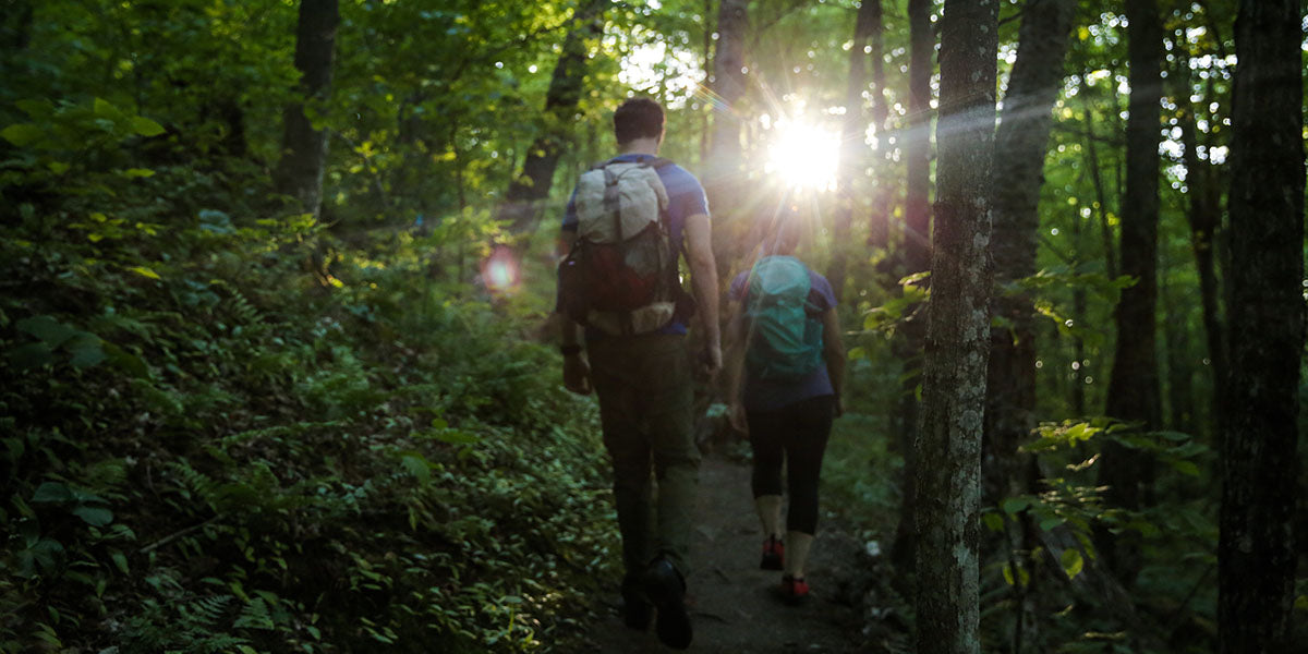 picture of 2 hikers